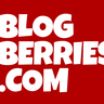 BlogBerries, profile picture