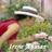 Irene Aguiar, profile picture