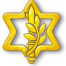 IsraelDefenseForces, profile picture