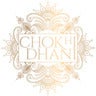 CHOKHI DHANI, profile picture