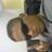 Jeferson Souza, profile picture
