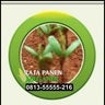 Jual Rhizobium (Bpk.Yudhi S ), profile picture