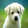 SlideShare profile picture for @kiki33