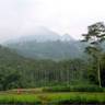 Forest, Trees and Agroforestry - Component 3: Landscape Management, profile picture