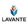 Lavante, Inc., profile picture