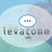 Levacomm, profile picture
