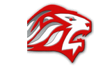 SlideShare profile picture for @lionmc