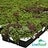 LiveRoof Green Roofs, profile picture