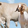 live export care, profile picture