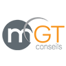 MGT Conseils, profile picture