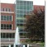 Michigan State University Libraries - Information Literacy, profile picture