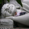 M Thong Mthong Profile