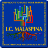 I.C. "Malaspina" - Massa, profile picture
