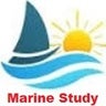 Marine Study, profile picture