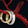 SlideShare profile picture for @marrying