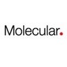 Molecular Inc, profile picture