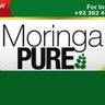 Moringa Pakistan: Buy Moringa Powder in Paksitan, profile picture