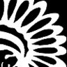 National Congress of American Indians, profile picture