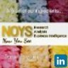 NOYS Research, Analysis and Business Intelligence, profile picture