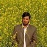 Naveed Ul, profile picture