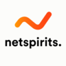 netspirits Online Marketing, profile picture