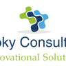 Noky Consulting, profile picture