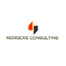 Norocke Consulting, profile picture