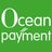 Oceanpayment, profile picture
