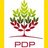 PDPTunisie, profile picture