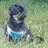 School Paolo Rossi, profile picture