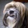 SlideShare profile picture for @patties