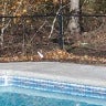 Accurate Pool & Spa Services, llc, profile picture