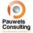 Pauwels Consulting, profile picture