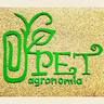 PET Agronomia IFPA, profile picture