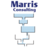 MARRIS Consulting, profile picture