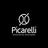 Picarelli Consultores Associados, profile picture
