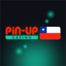 Pin up Chile, profile picture