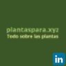 Plantas  Para, profile picture