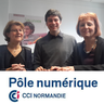 PoleNumeriqueNormand, profile picture