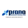 Prana Business Consulting, profile picture