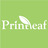 Printleaf, profile picture