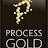 ProcessGold AG, profile picture