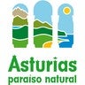 Turismo Asturias, profile picture