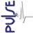 Pulse Beverage Corporation, profile picture