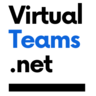 VirtualTeams.net, profile picture