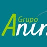 Grupo Animacion, profile picture