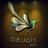 Rituals SPA, profile picture