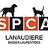 SPCA Basses Laurentides Lanaudiere, profile picture