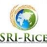 SRI-Rice, Dept. of Global Development, Cornell University, profile picture