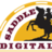 Saddle Ranch Digital, profile picture